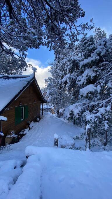 Pico Andino Villa San Carlos de Bariloche Exterior photo